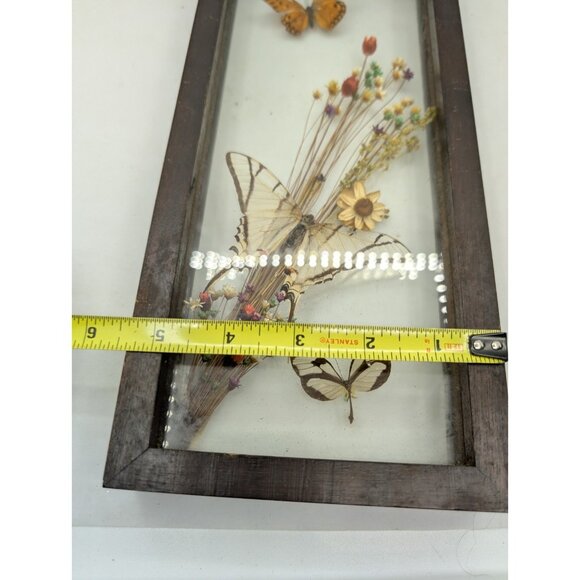 Vintage Shadow Box Butterflies Flowers display glass 12.4" x 5.4" boho READ - Picture 10 of 16